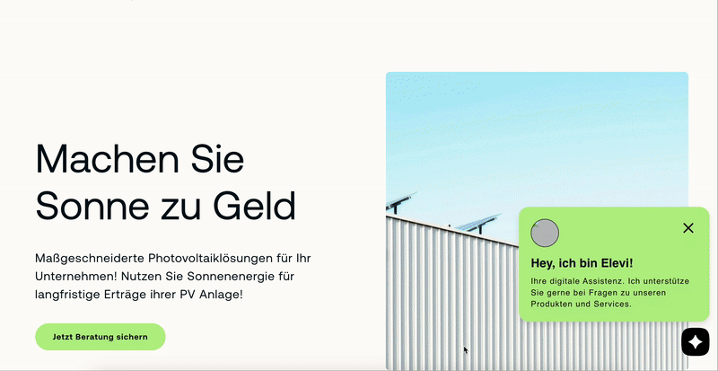 Das vorherige Design der Elevion-Green-Website vor dem Relaunch.